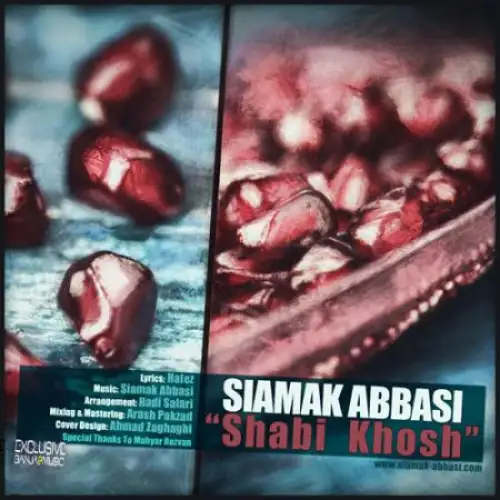 شبی خوش